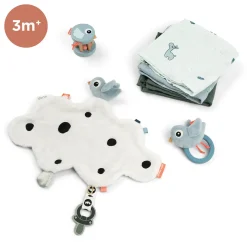 Birdee – Gift bundle – Blue