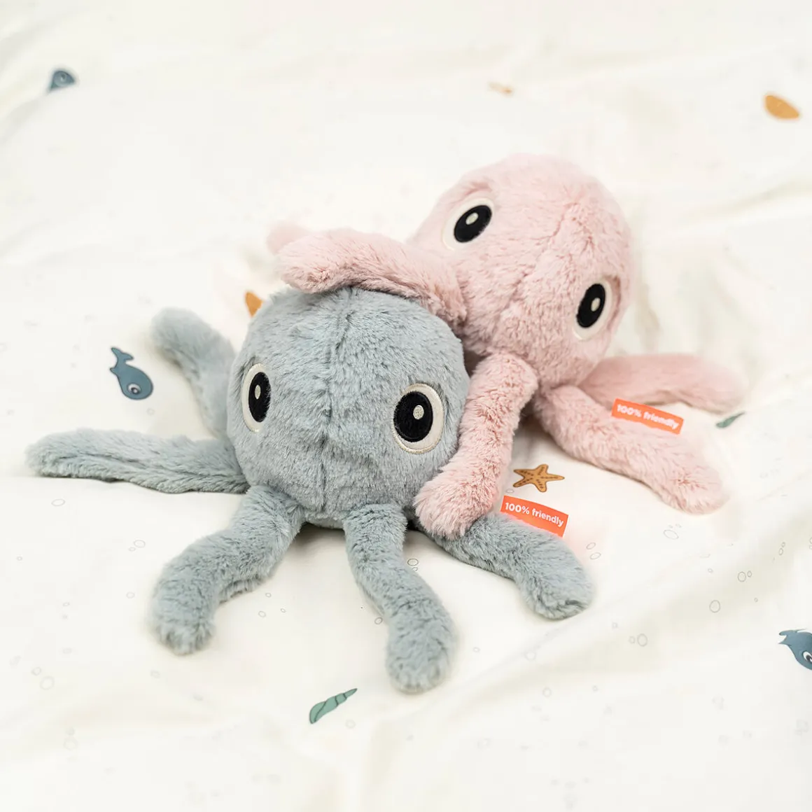 Cuddle cute - Jelly - Powder