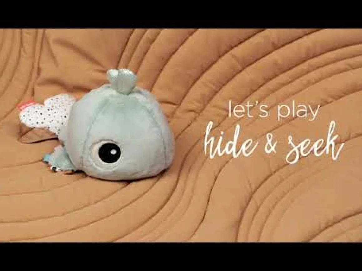 Hide & Seek activity toy - Wally - Blue
