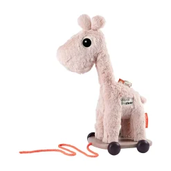 Pull along 2-in-1 toy - Raffi - Powder