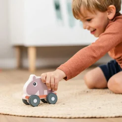 Push toy - Ozzo - Powder