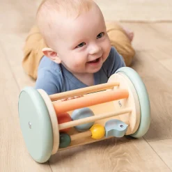 Rolling activity mirror - Birdee - Colour mix