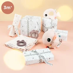 Sea friends – Gift bundle – Powder