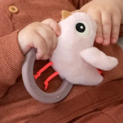Sensory rattle w/teether - Birdee - Powder
