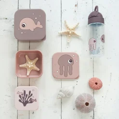 Snack box set 3 pcs - Sea friends - Powder