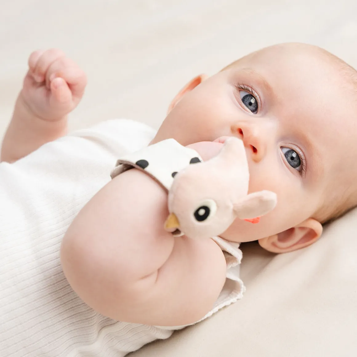 Wrist rattle set 2-pack - Happy clouds - Powder